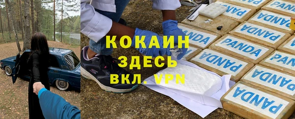 ешки Алзамай