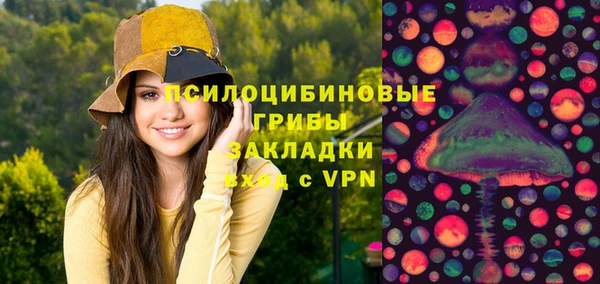 ешки Алзамай