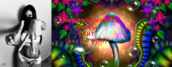 ешки Алзамай
