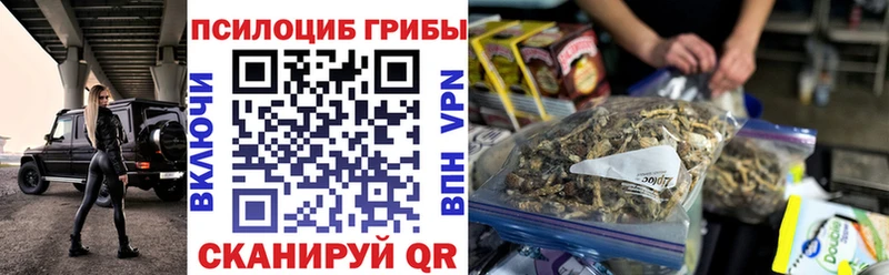 Галлюциногенные грибы Psilocybe  купить  цена  Конаково 